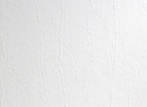 Элитные английские флизелиновые обои под покраску Anaglypta Armadillo Contract