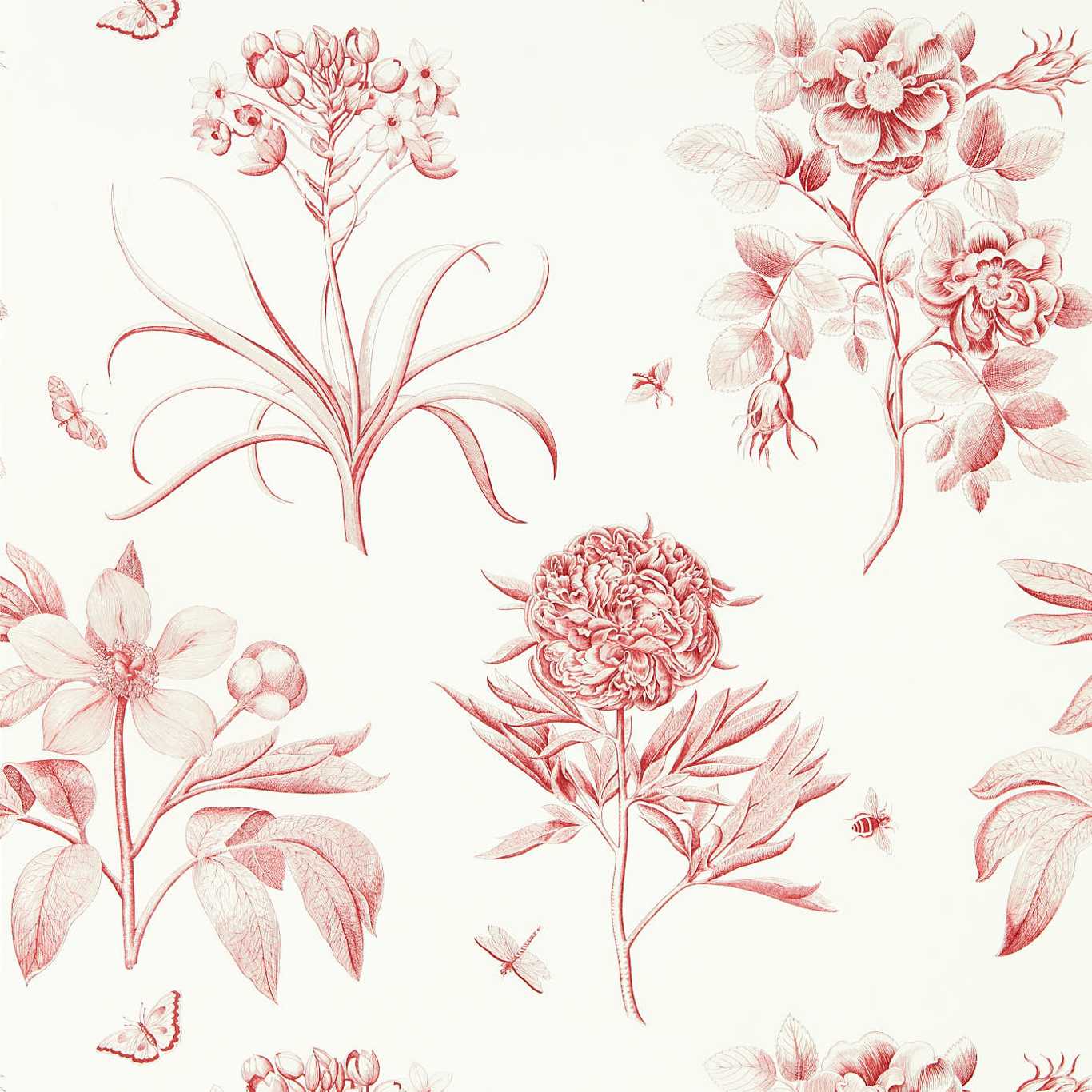 Sanderson Sanderson One Sixty Wallpapers Etchings & Roses  DOSW217054