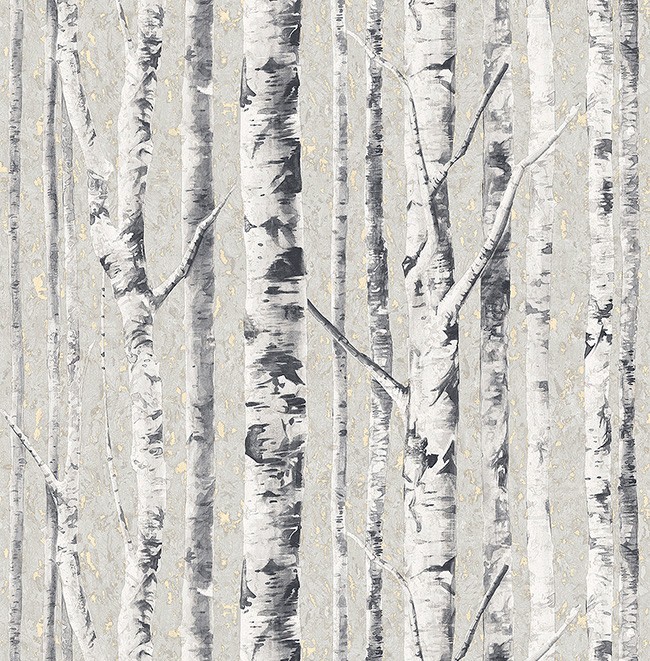 KT ExclusiveSanctuary fj41610