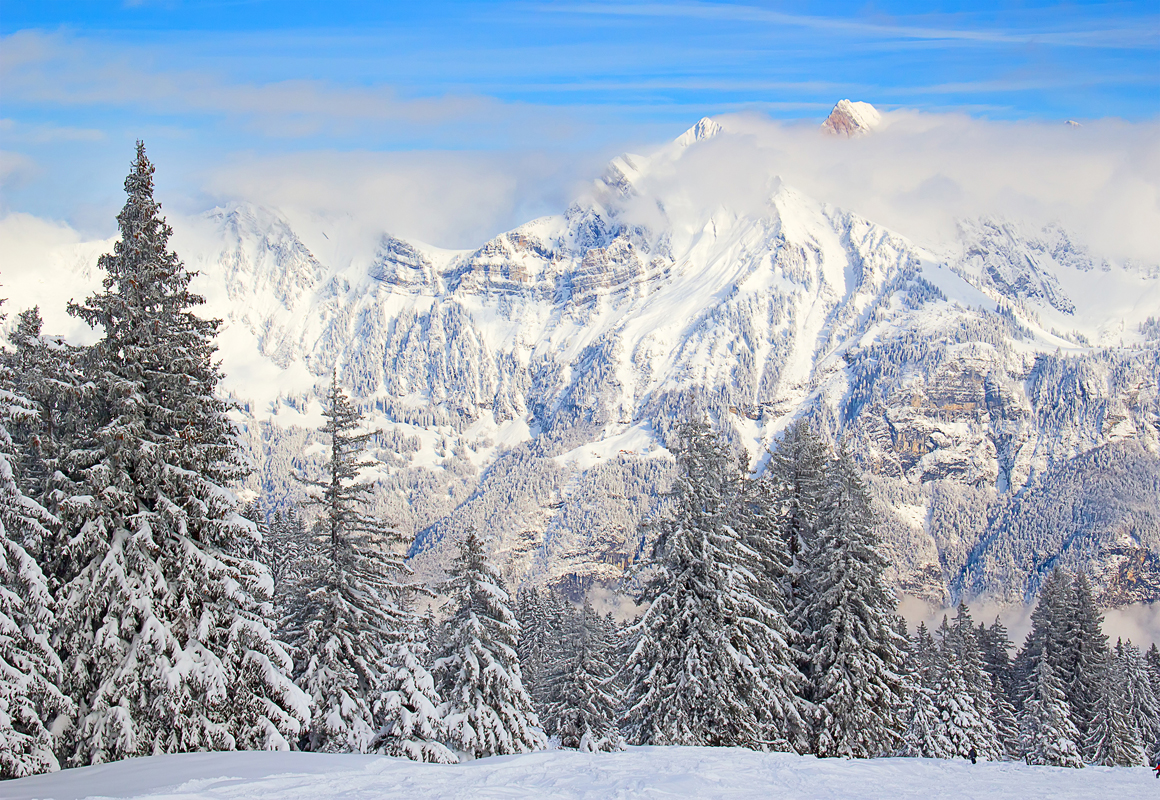 Affresco фотографии природы ID13534