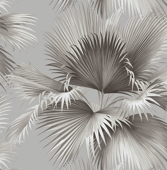 KT ExclusiveNewport ec81908