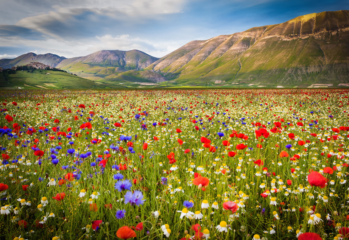 Affresco фотографии природы ID13456