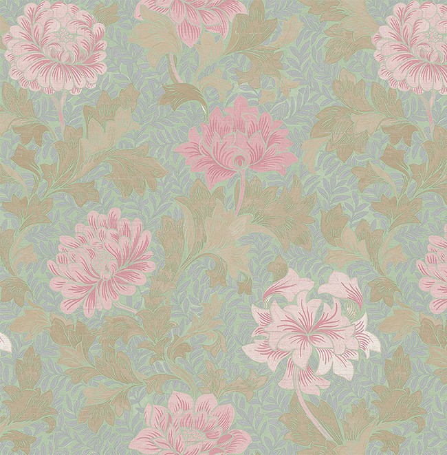 KT ExclusiveSanctuary fj41210