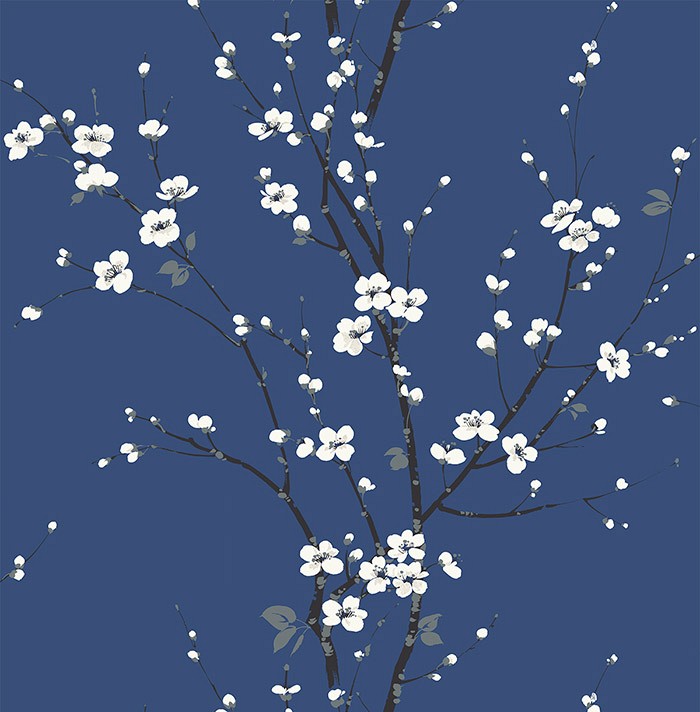 KT ExclusiveNewport ec81812