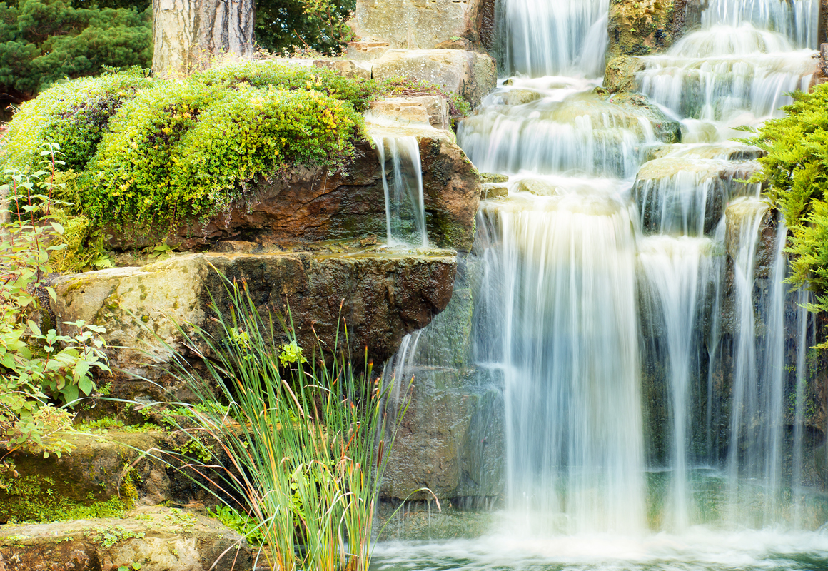 Affresco фотографии природы ID10410