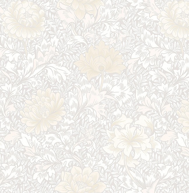 KT ExclusiveSanctuary fj41204