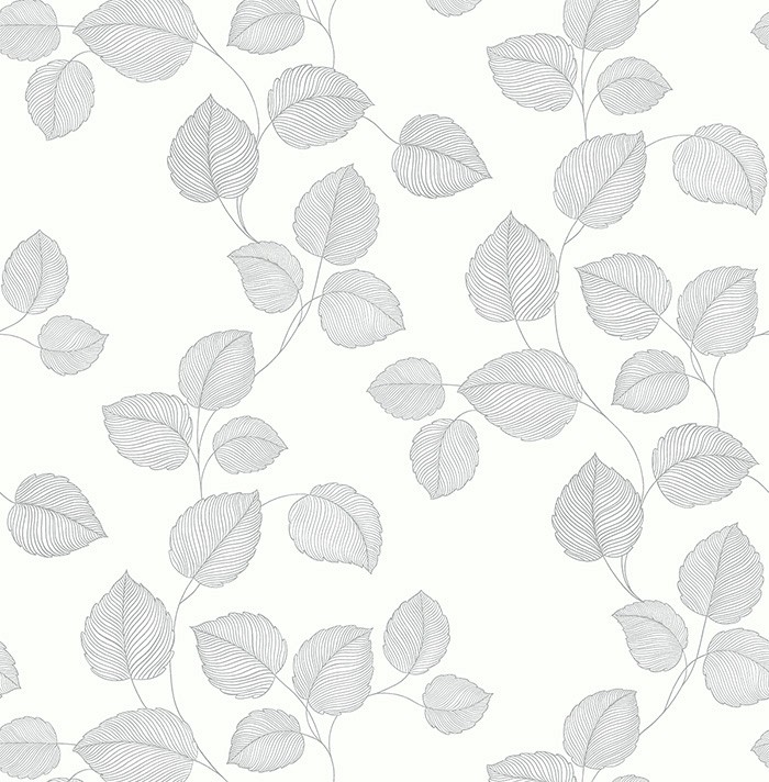 KT ExclusiveNavy, Gray and White bl70118