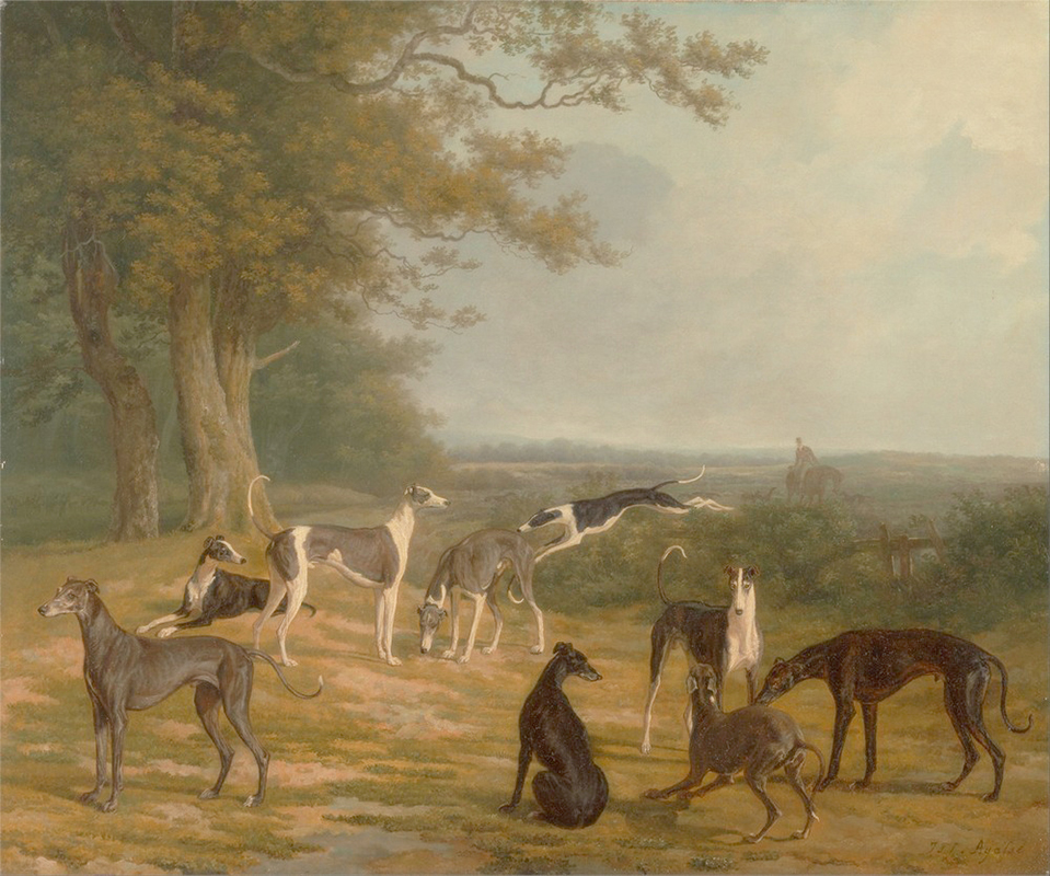 Affresco Сцены охоты Jacques Laurent Agasse, Nine Greyhounds in a Landscape