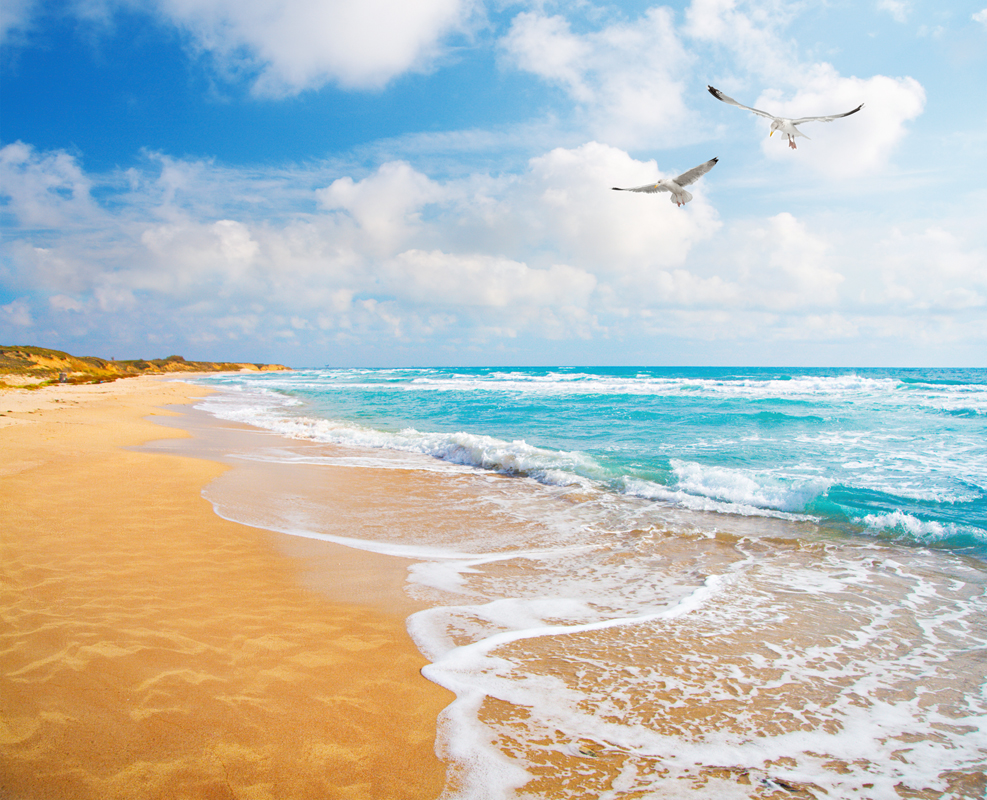 Affresco фотографии природы ID11048