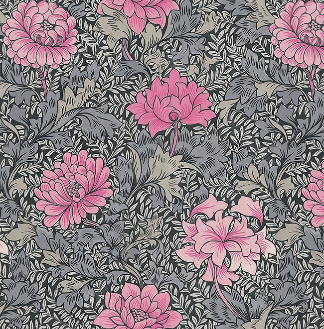 KT ExclusiveSanctuary fj41280