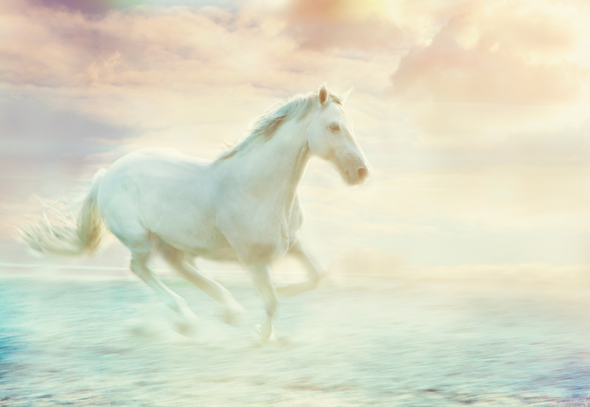 Affresco Животные ID10781