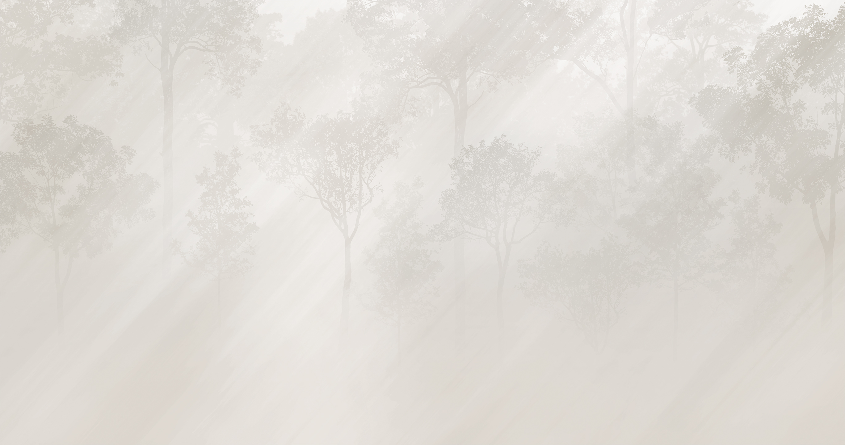 494106 Creativille Рассвет в лесу