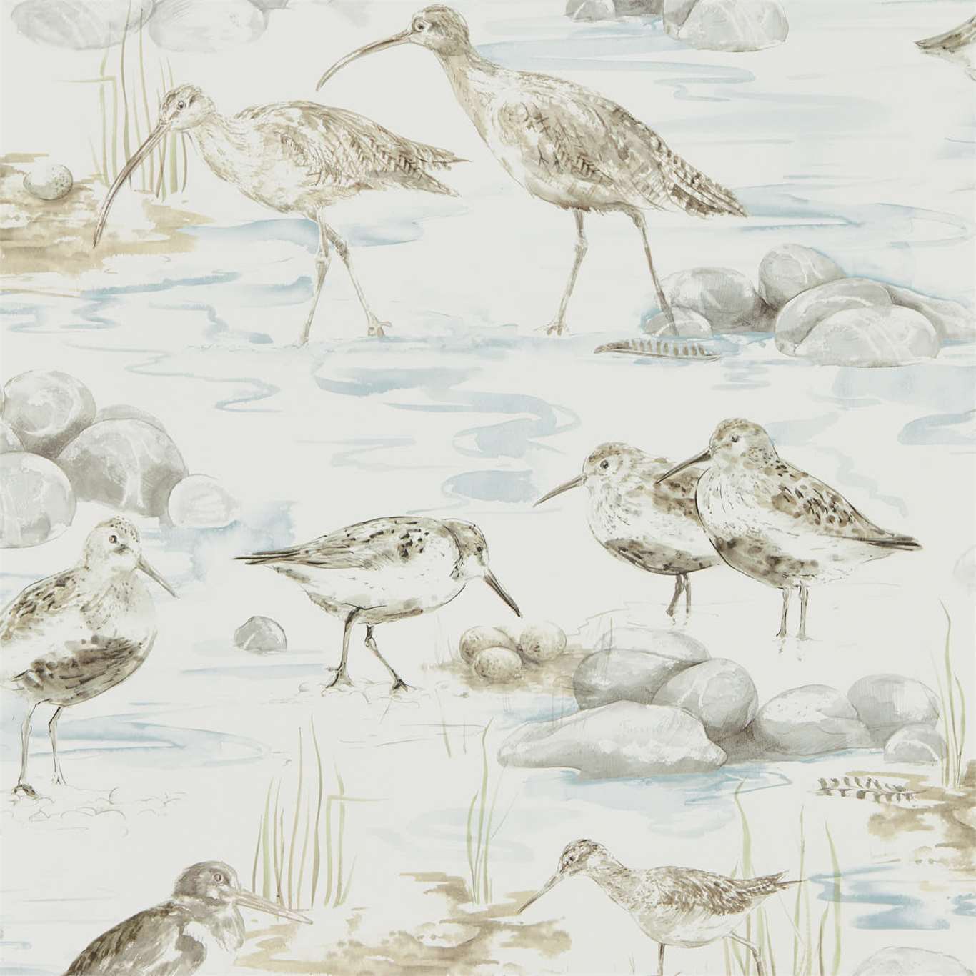 Sanderson Embleton Bay Wallpapers Estuary Birds  DEBB216492
