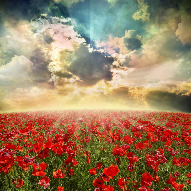 Affresco фотографии природы ID12399