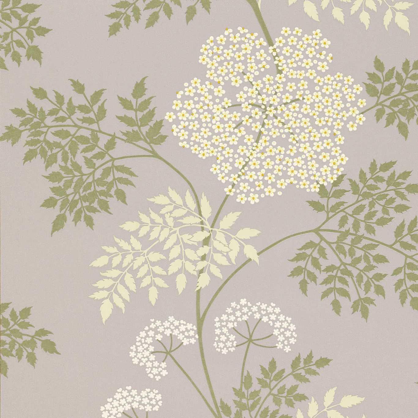 Sanderson Sanderson One Sixty Wallpapers Cowparsley  DOPWCO103