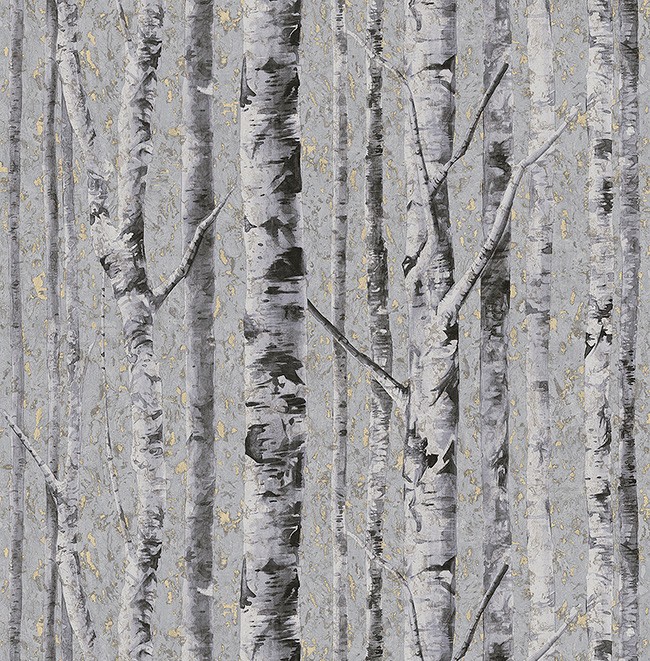 KT ExclusiveSanctuary fj41609