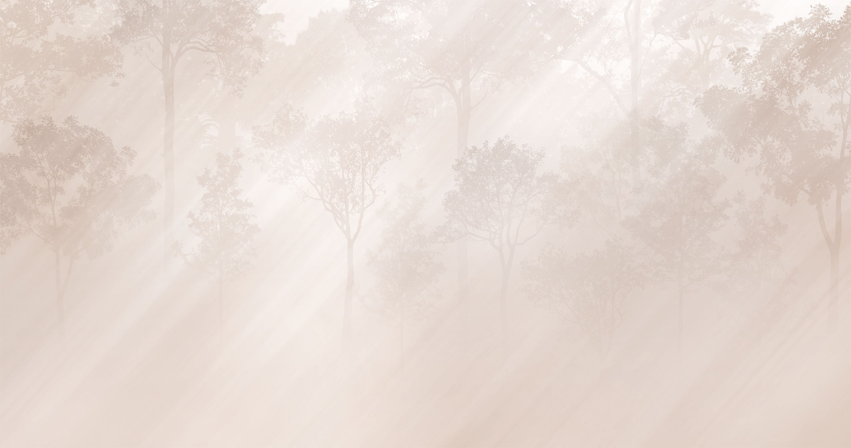 494102 Creativille Рассвет в лесу