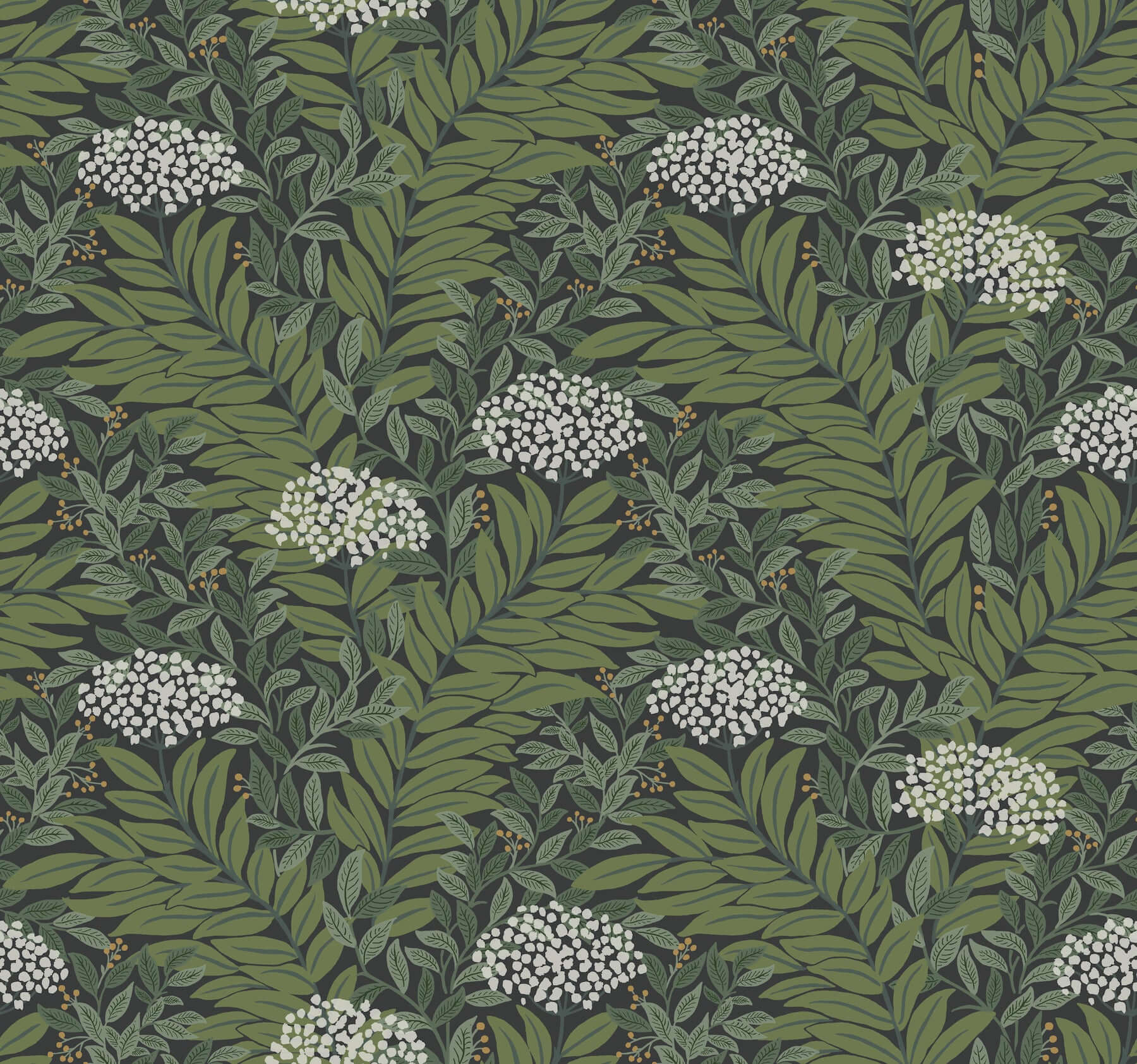 York  Rifle Paper Co. Wallcoverings  Highgrove Wallpaper- Black RF7504