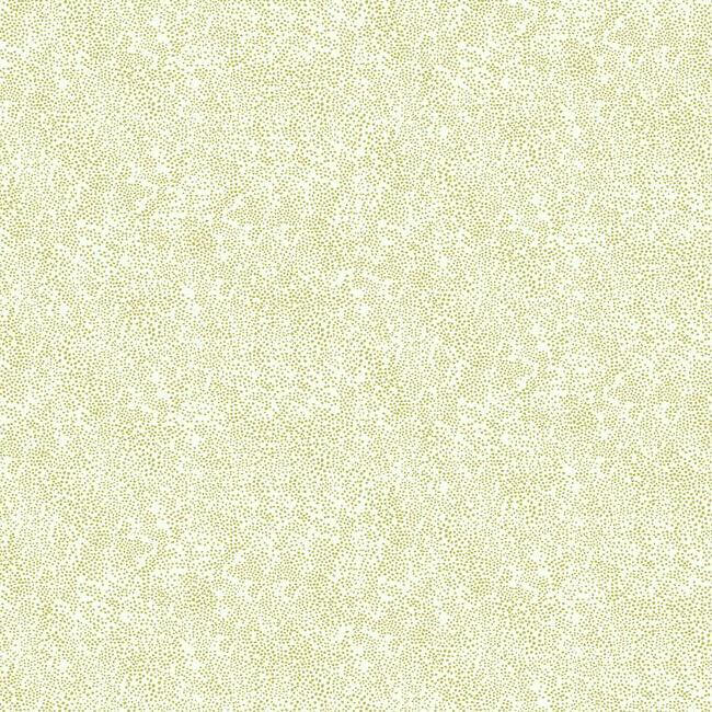 York  Rifle Paper Co. Wallcoverings  Champagne Dots Wallpaper- Gold & White RI5112