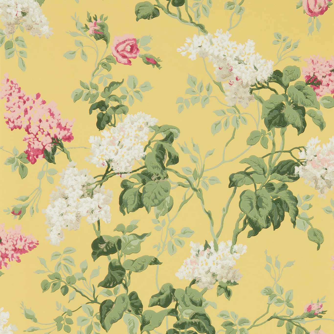 Sanderson Sanderson One Sixty Wallpapers Sommerville  DOSW217051