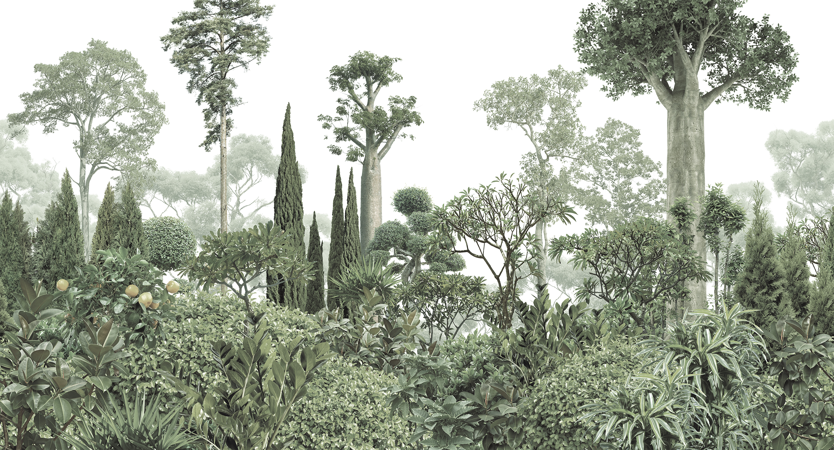 498002 Creativille ботанический сад