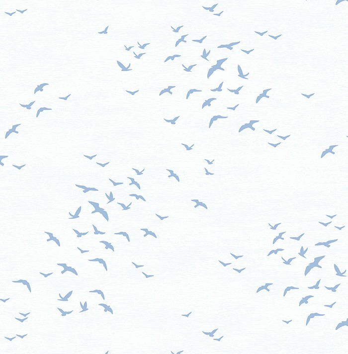 KT ExclusiveNavy, Gray and White bl70428