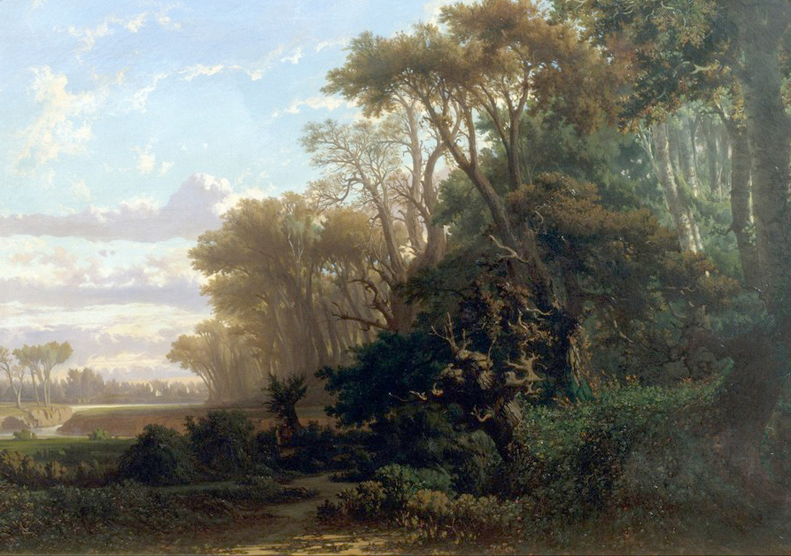 Affresco Классические пейзажи Lluis Rigalt, Landscape with Woods