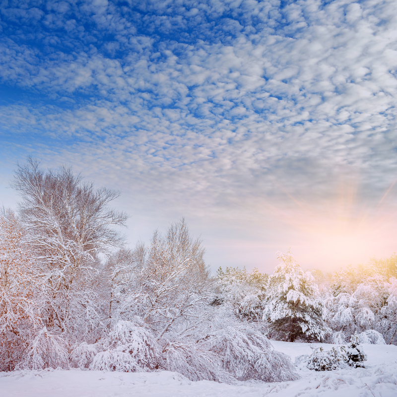 Affresco фотографии природы ID13528