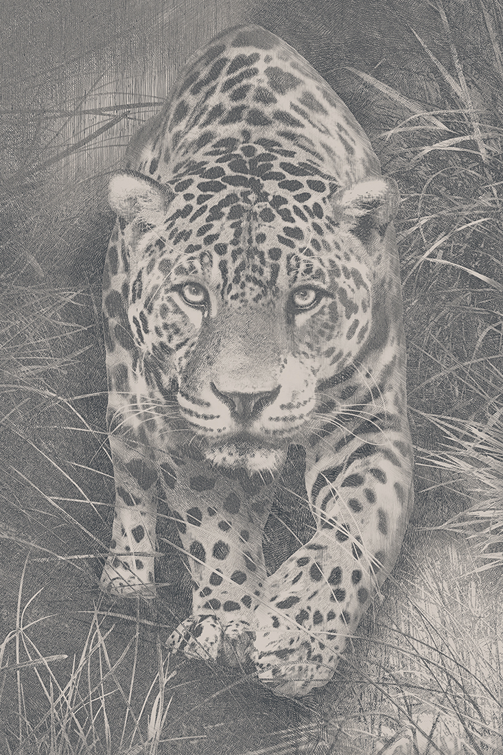 Affresco Животные ID136554