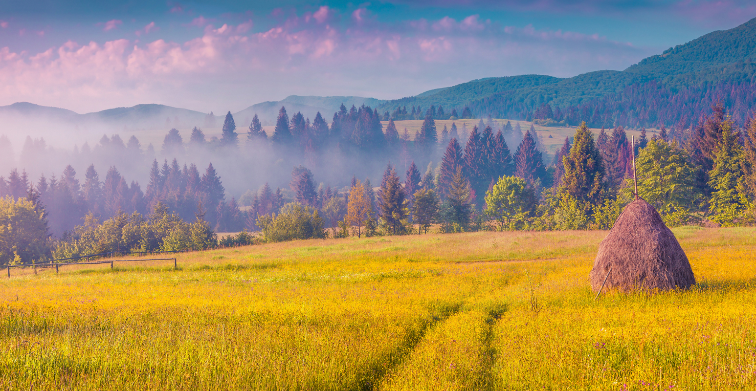 Affresco фотографии природы ID13452