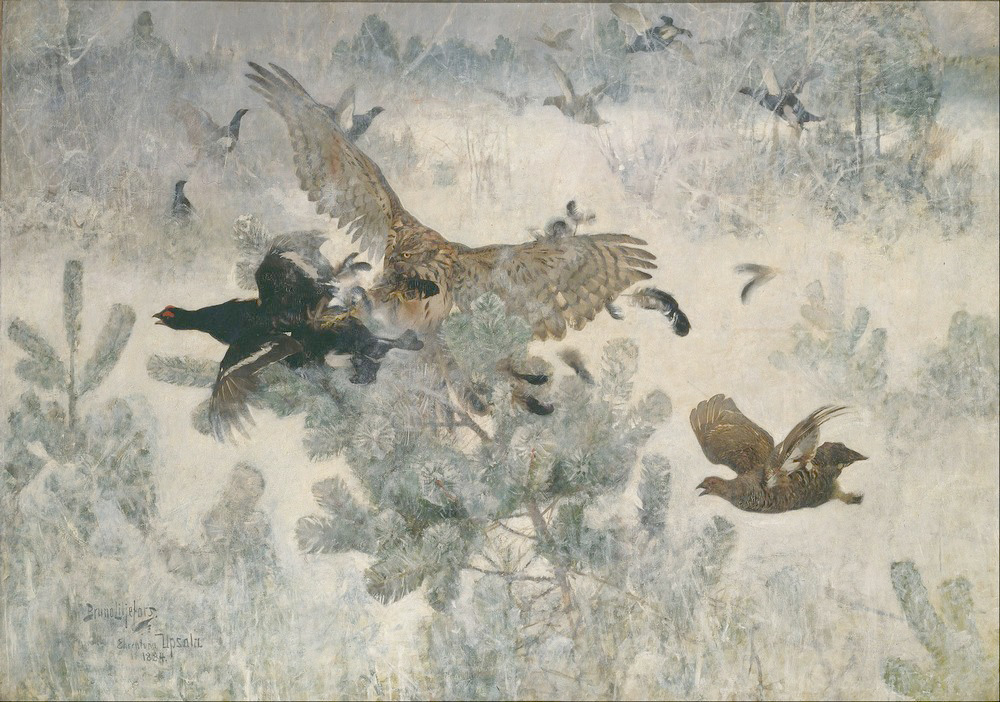 Affresco Картины с животными Bruno Liljefors, Hawk and Black Game