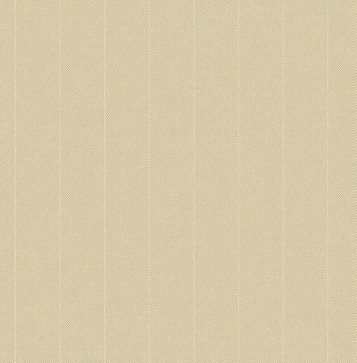 KT ExclusiveSauvage kt10327