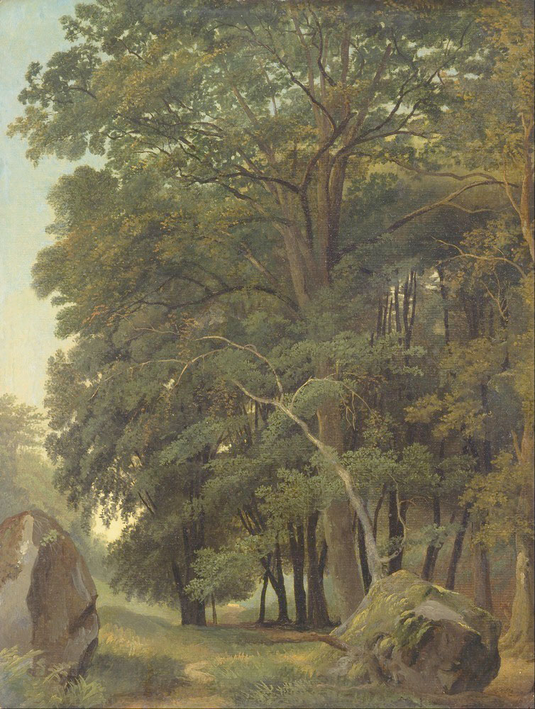 Affresco Классические пейзажи Ramsay Richard Reinagle, A Wooded Landscape