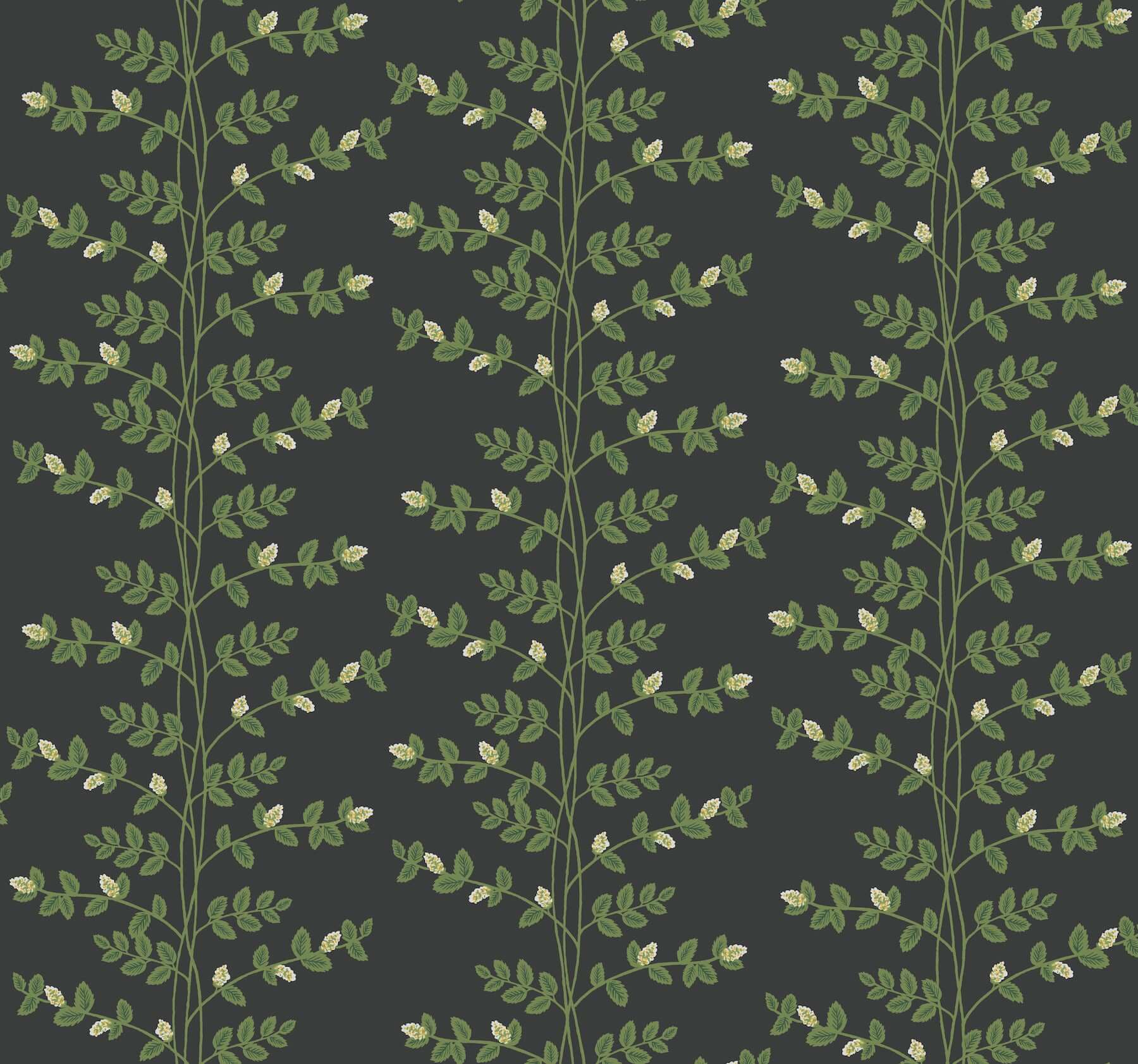 York  Rifle Paper Co. Wallcoverings  Climbing Vine Wallpaper- Black RF7422