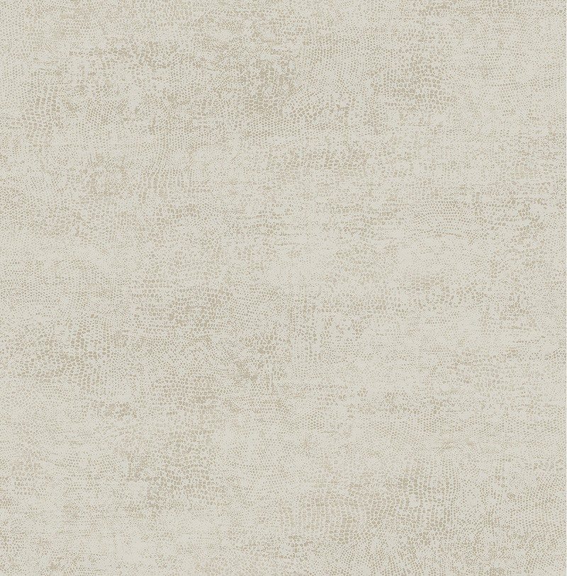 KT ExclusiveStudio Textures jt30906