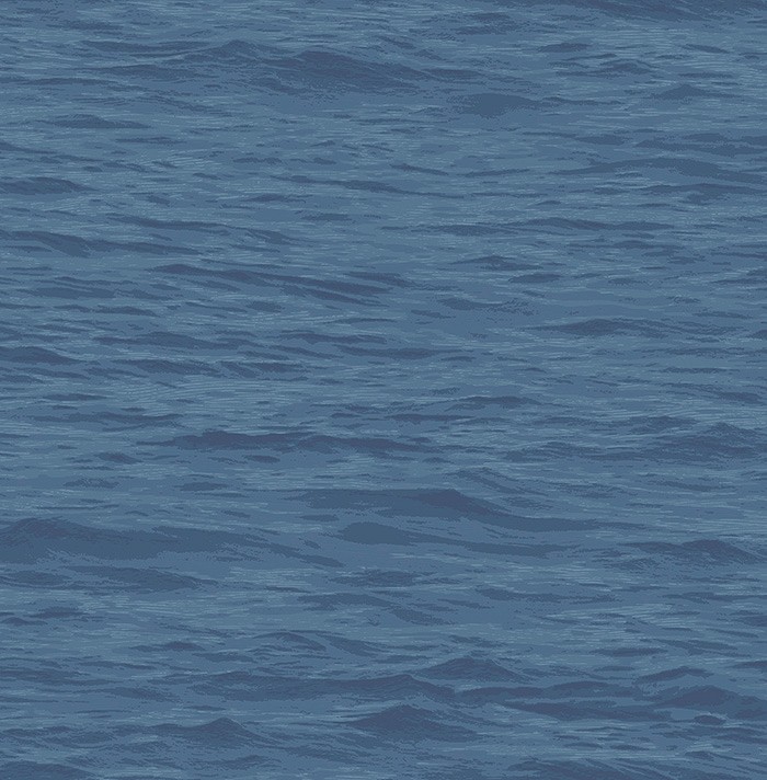 KT ExclusiveNavy, Gray and White bl71322