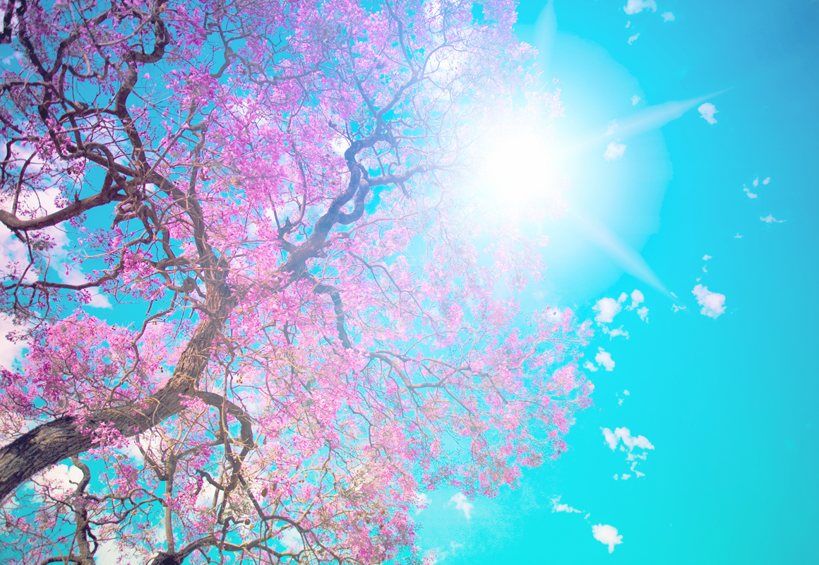 Affresco Небо ID13496