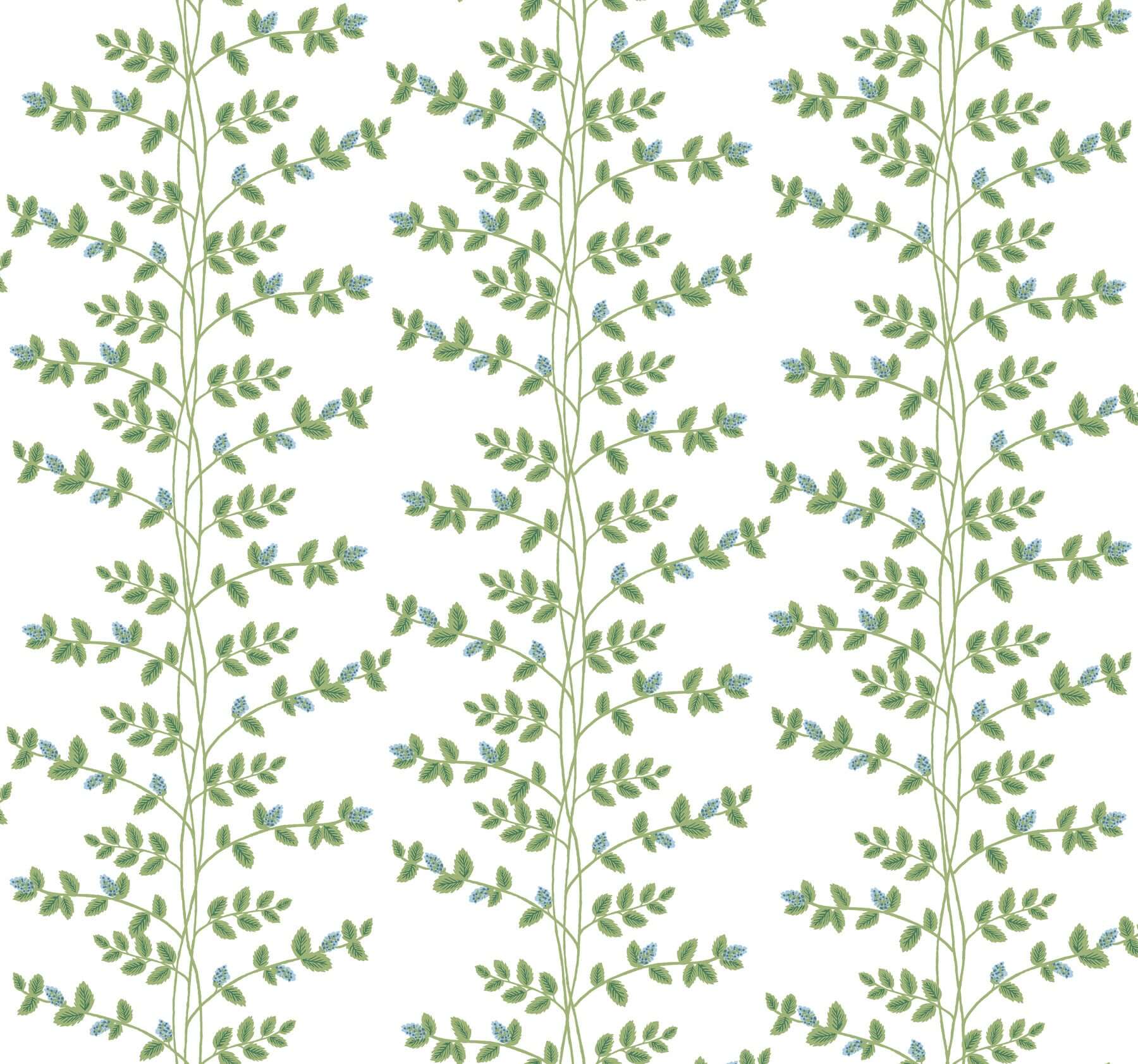 York  Rifle Paper Co. Wallcoverings  Climbing Vine Wallpaper- White & Blue RF7425