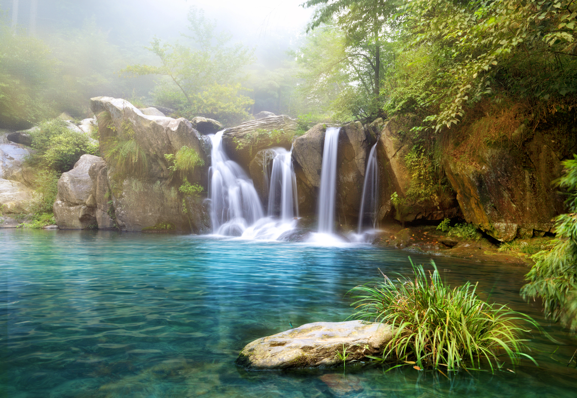 Affresco фотографии природы ID10425