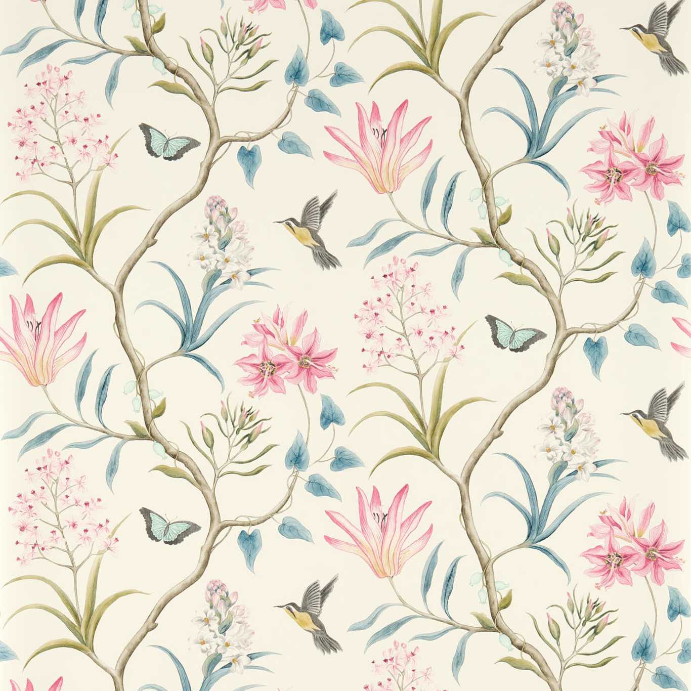 Sanderson Sanderson One Sixty Wallpapers Clementine  DVOY213386