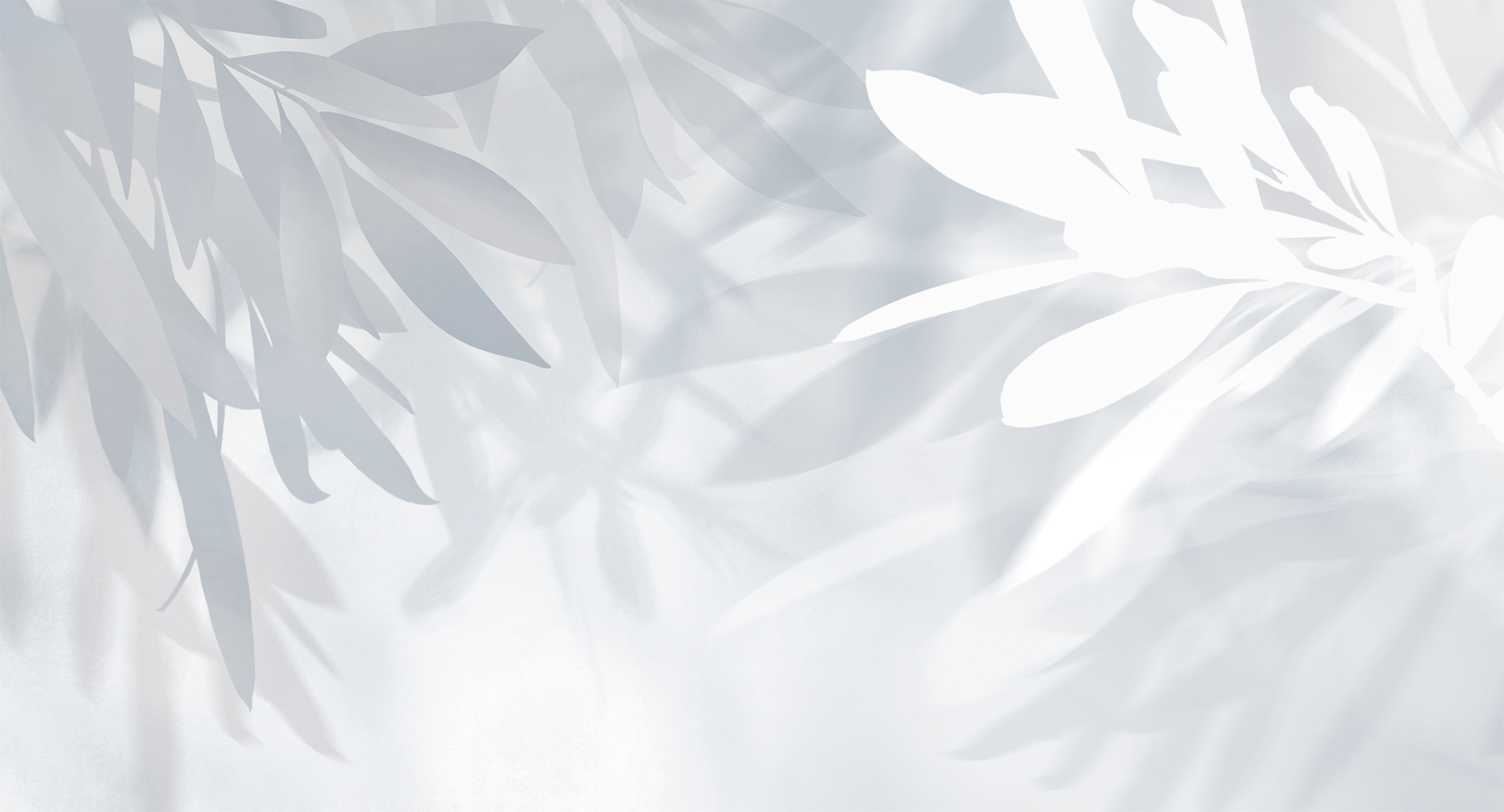 435007 Creativille Листья оливы