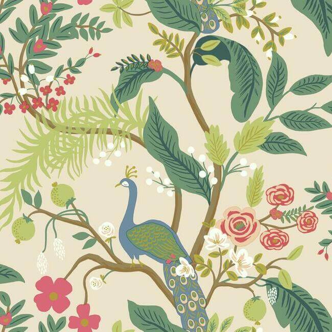York  Rifle Paper Co. Wallcoverings  Peacock Wallpaper- Blush RI5169