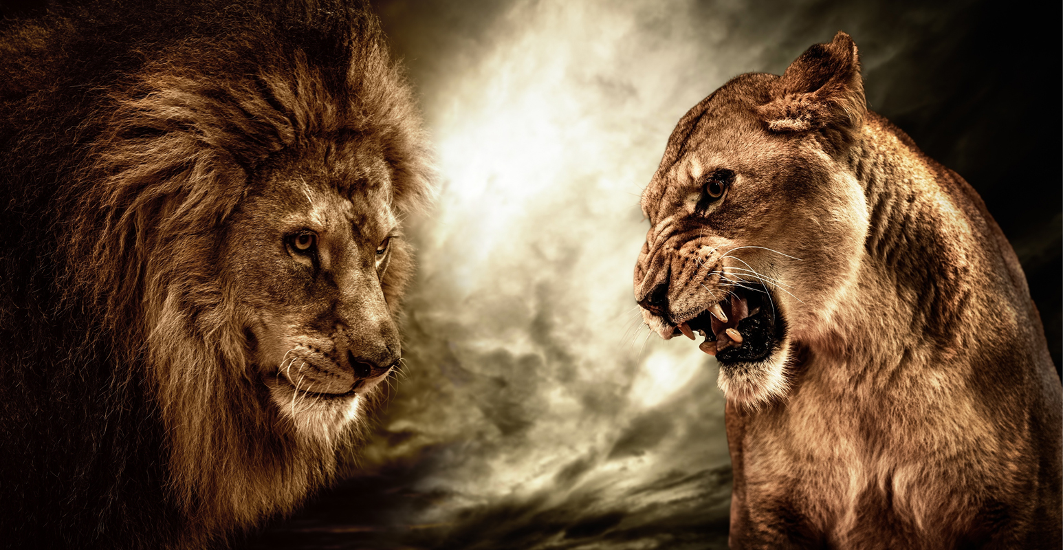 Affresco Животные ID13103