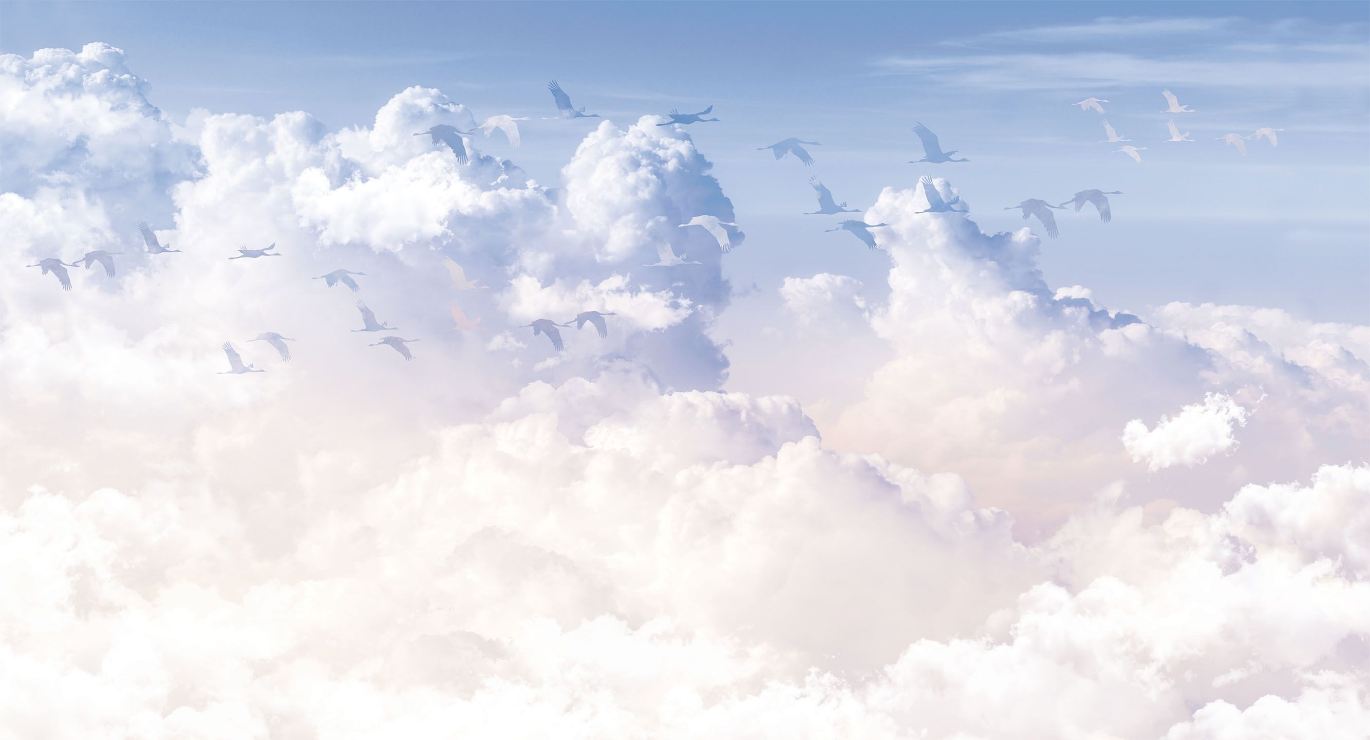 275228 Creativille облака и птицы