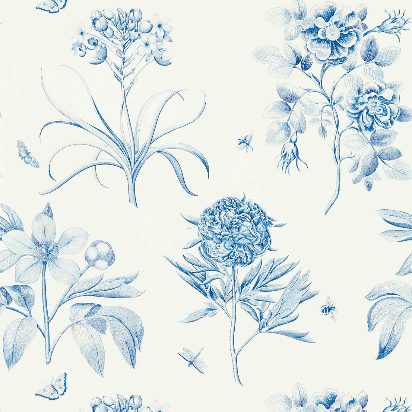 Sanderson Sanderson One Sixty Wallpapers Etchings & Roses  DOSW217052
