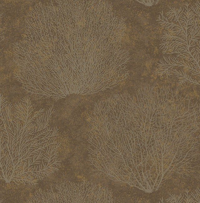 Carl Robinson 15 cr75706