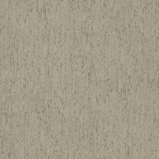 York  Simply Farmhouse  Rugged Bark Wallpaper- Grey FH4093