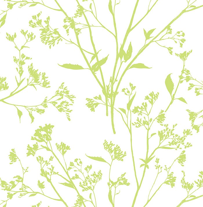 KT ExclusiveNewport ec80704