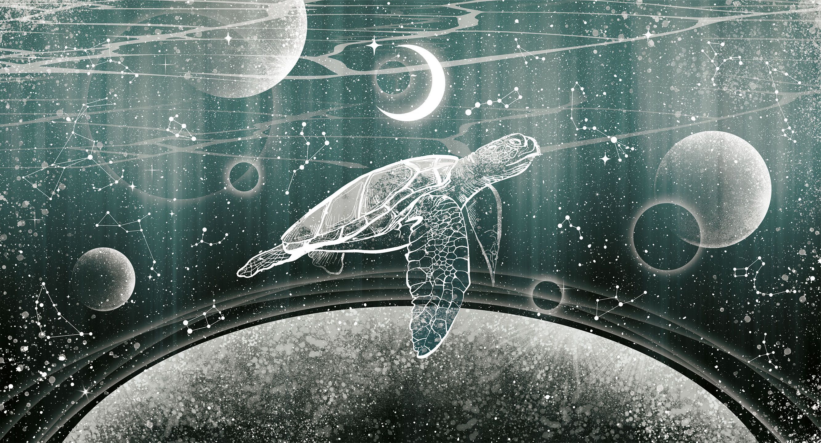 277004 Creativille космическая фантазия с черепахой