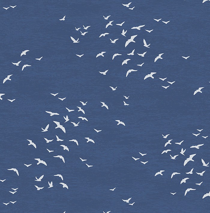 KT ExclusiveNavy, Gray and White bl70412